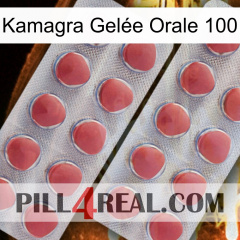 Kamagra Gelée Orale 100 19